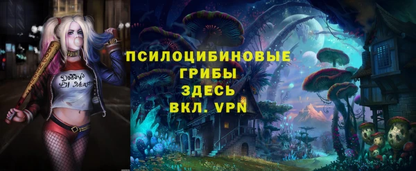твердый Струнино